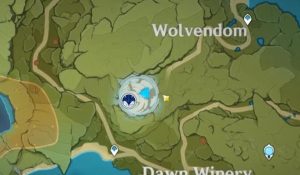 Genshin Impact Wolf des Nordens