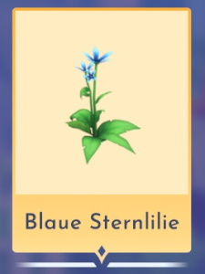 Blaue Sternlilie