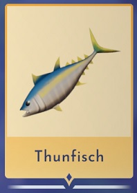 Thunfisch finden