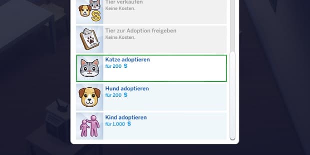 Hund oder Katze adoptieren